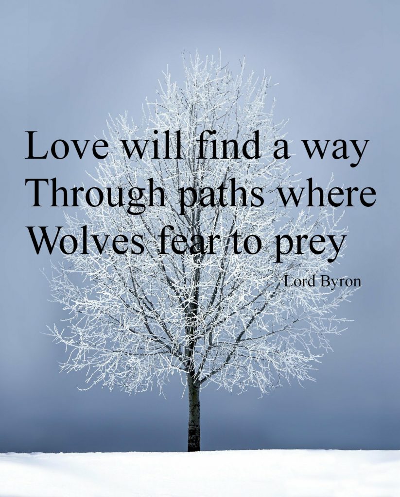 https://www.101motivationalquotes.com/